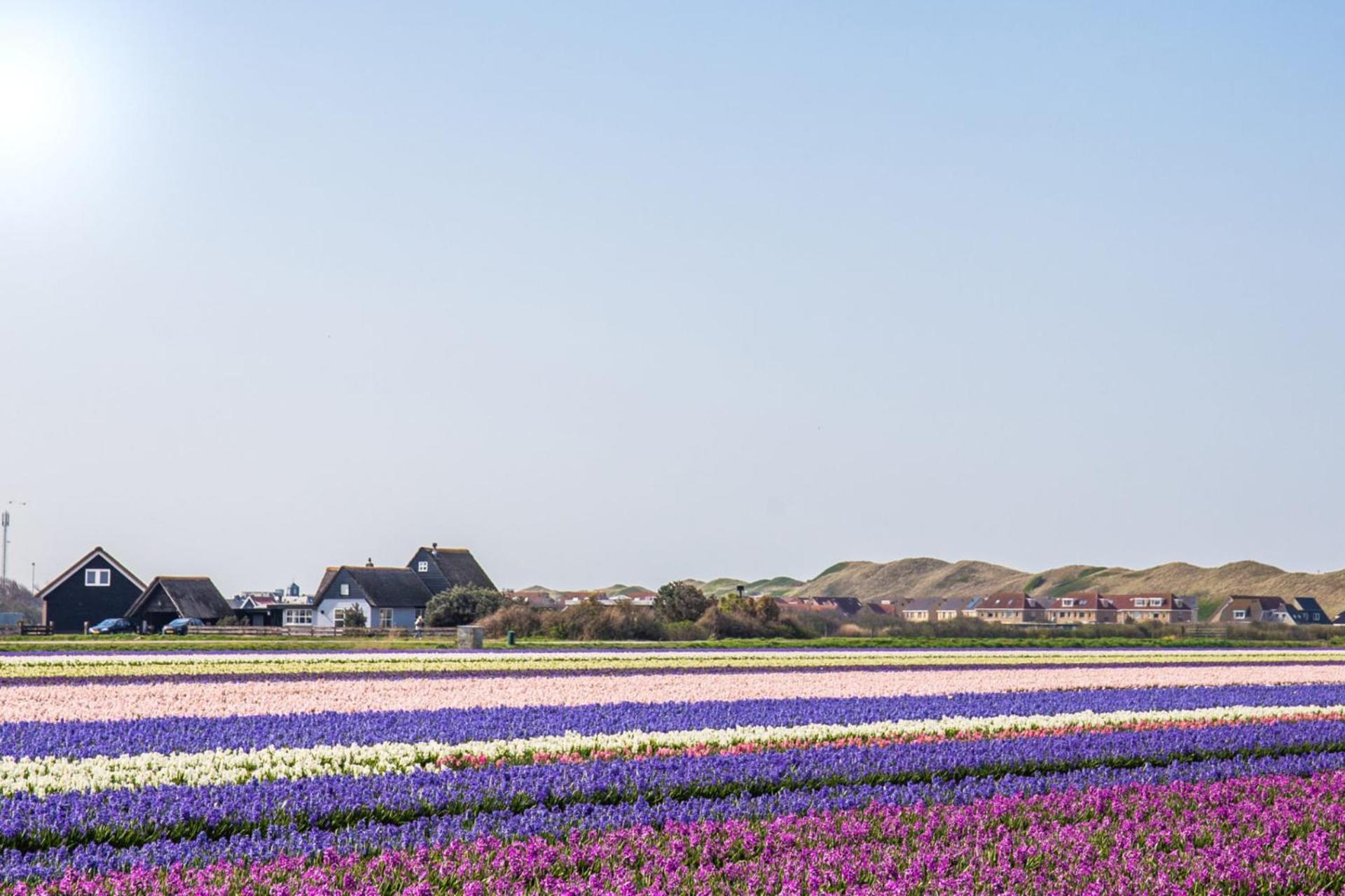 Vakantiehuis Pico Bello - Callantsoog Aan Zee Exterior photo